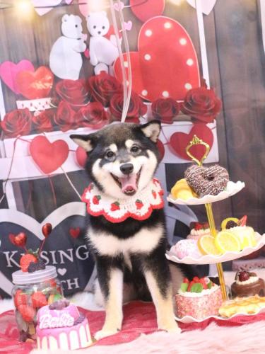 20250223むさしくん